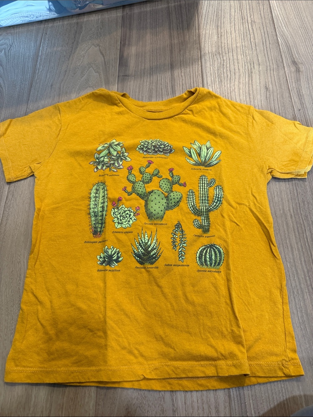 Fifth Sun Mustard Yellow Cactus & Succulent Graphic Tee